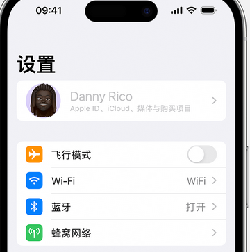 钦南appleID维修服务iPhone设置中Apple ID显示为灰色无法使用