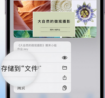 钦南apple维修中心分享iPhone文件应用中存储和找到下载文件