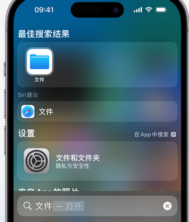 钦南apple维修中心分享iPhone文件应用中存储和找到下载文件 