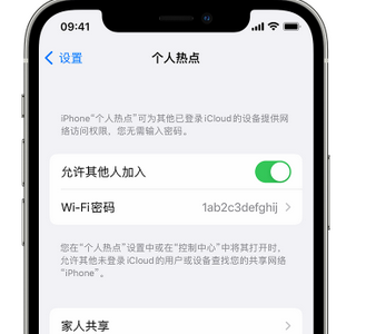 钦南apple服务站点分享iPhone上个人热点丢失了怎么办