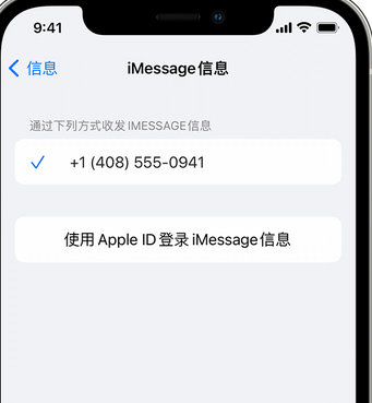 钦南apple维修iPhone上无法正常发送iMessage信息