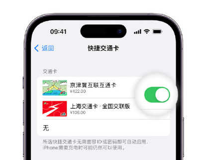 钦南apple维修点分享iPhone上更换Apple Pay快捷交通卡手绘卡面 