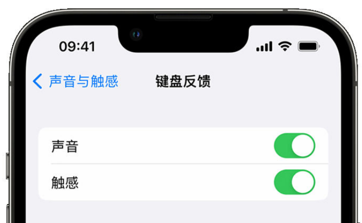 钦南苹果手机维修分享iPhone 14触感键盘使用方法 