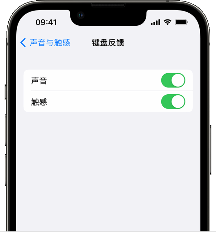 钦南苹果14维修店分享如何在 iPhone 14 机型中使用触感键盘 