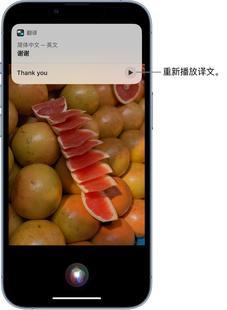 钦南苹果14维修分享 iPhone 14 机型中使用 Siri：了解 Siri 能帮你做什么 