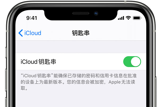 钦南苹果手机维修分享在 iPhone 上开启 iCloud 钥匙串之后会储存哪些信息 