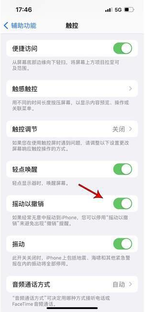 钦南苹果手机维修分享iPhone手机如何设置摇一摇删除文字 